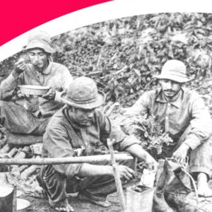 Cuentos de Guerra